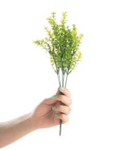 بوته شمشاد ریز دو رنگ