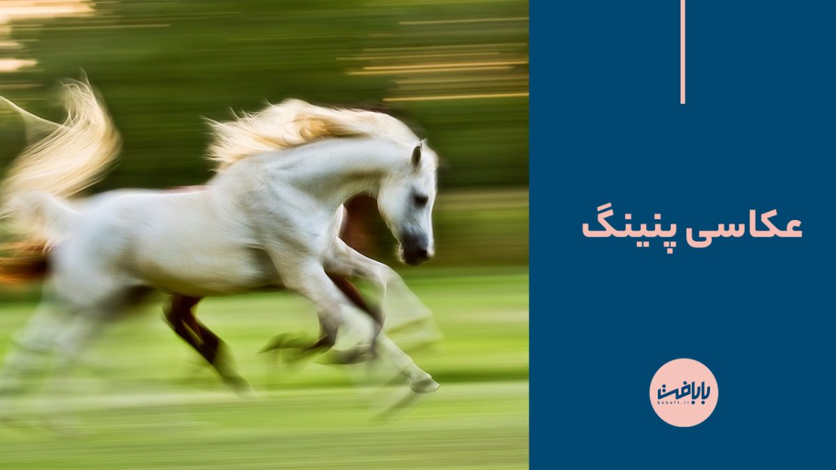 عکاسی پنینگ